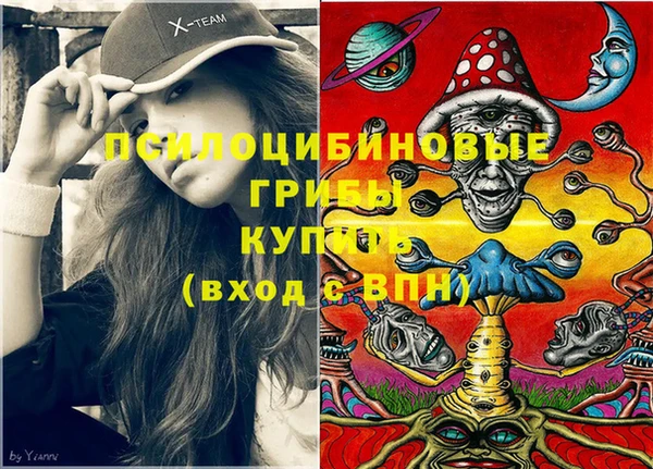 марки lsd Абаза