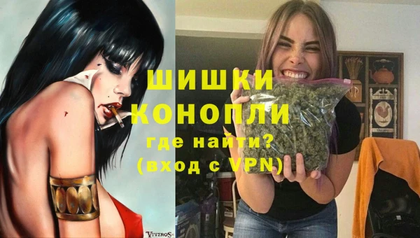 ГАЛЛЮЦИНОГЕННЫЕ ГРИБЫ Сафоново