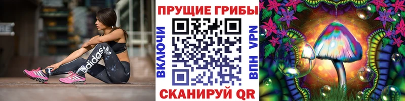 купить  цена  Мураши  Псилоцибиновые грибы GOLDEN TEACHER 